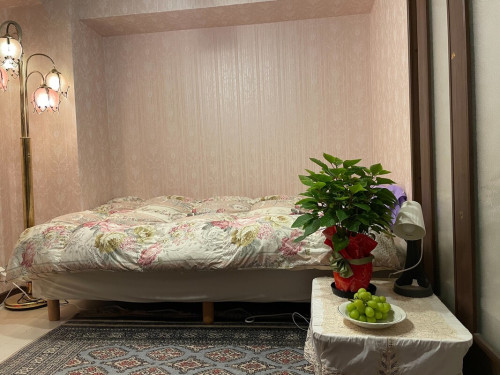 Amazing host in central of Tokyo - Gallery - 24
