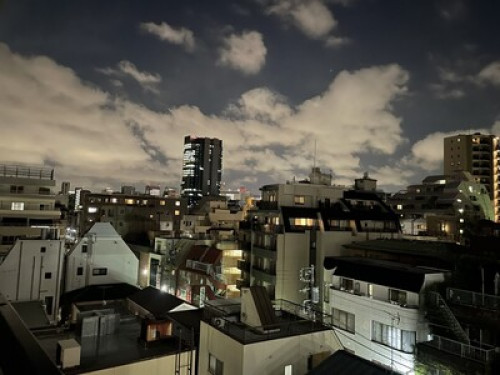 Amazing host in central of Tokyo - Gallery - 32