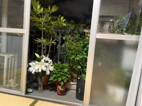 Amazing host in central of Tokyo - Gallery - 33