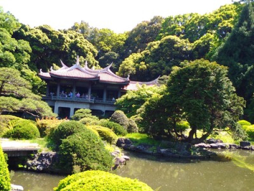 Amazing host in central of Tokyo - Gallery - 74