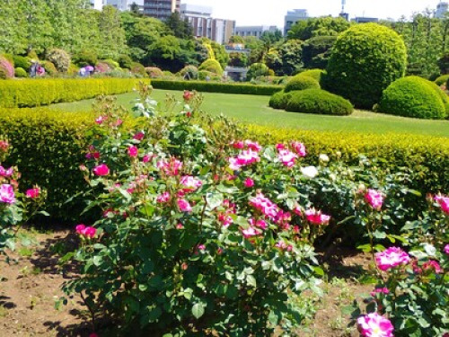Amazing host in central of Tokyo - Gallery - 14