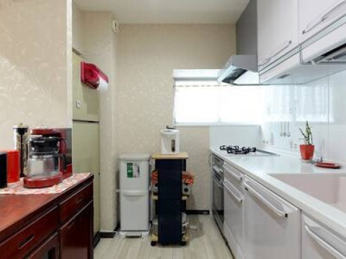 Amazing host in central of Tokyo - Gallery - 20
