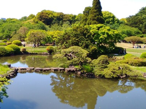Amazing host in central of Tokyo - Gallery - 12