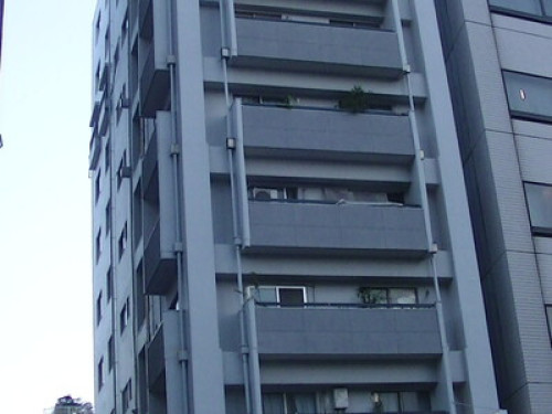 Amazing host in central of Tokyo  - Gallery -  5