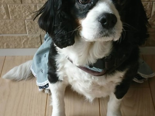 I'd be most happy to assist you.