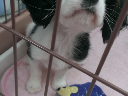 I'd be most happy to assist you.