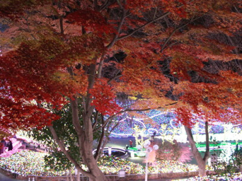 To Shinjuku,Shibuya,Ghibli,Mt.Takao - Gallery - 36