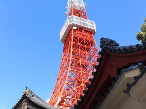 To Shinjuku,Shibuya,Ghibli,Mt.Takao - Gallery - 12