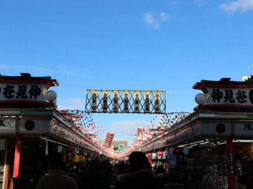To Shinjuku,Shibuya,Ghibli,Mt.Takao - Gallery - 8