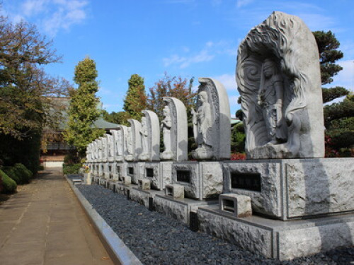 To Shinjuku,Shibuya,Ghibli,Mt.Takao - Gallery - 35