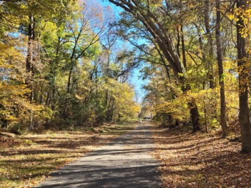 Clean & Cozy Near Downtown Raleigh  - Gallery -  5