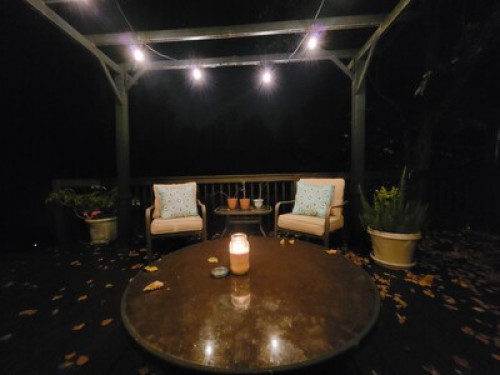 Clean & Cozy Near Downtown Raleigh - Gallery - 8