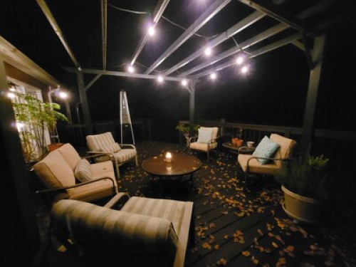 Clean & Cozy Near Downtown Raleigh - Gallery - 9