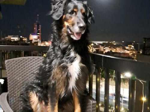 Apartment in residential area