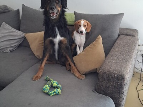 Apartment in residential area