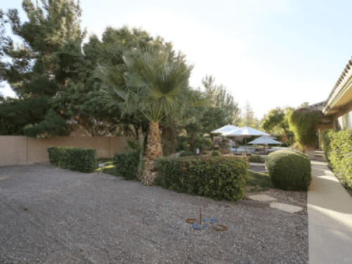 Las Vegas Tropical Luxury Home - Gallery - 6