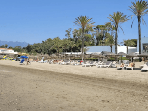 Sunny Room + Private Bath by Pool 