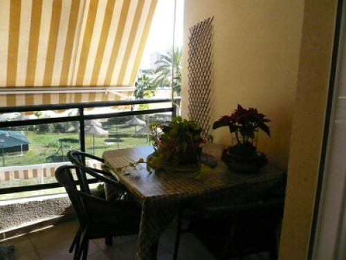 I love teaching my city