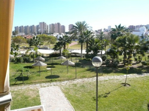 I love teaching my city