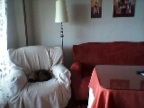 Fanáticos de la playa y el sol