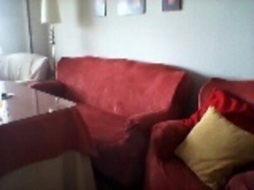 Fanáticos de la playa y el sol