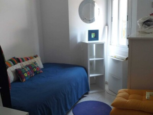 Spanish Home Tuition  - Gallery -  5