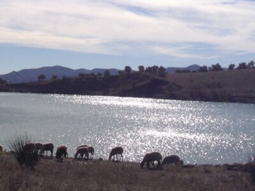 Lakeside