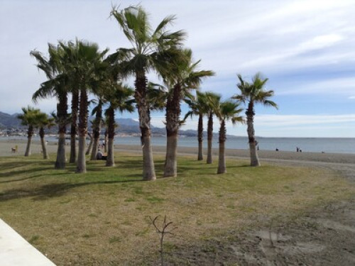 Lakeside - Gallery - 14