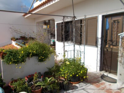 Hanging garden - Gallery - 11