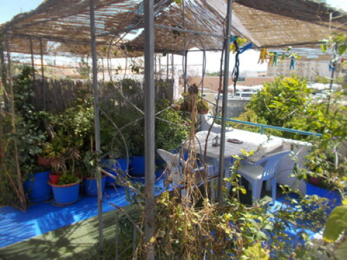 Hanging garden - Gallery - 9