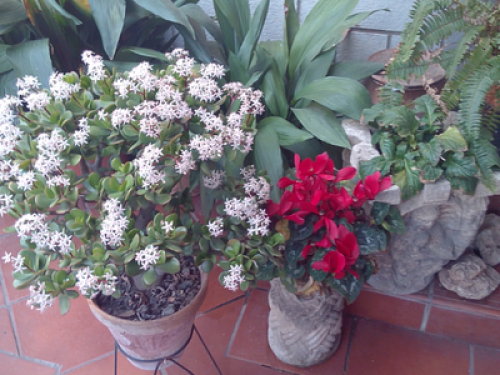 Excellent location in Orchards