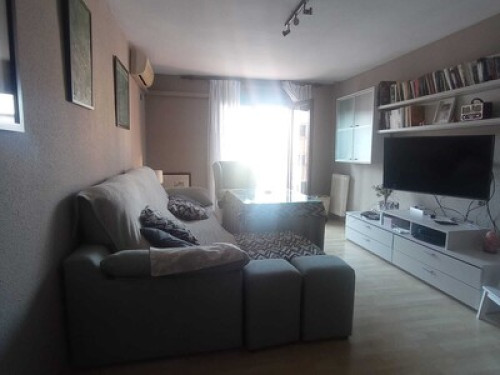 Student room