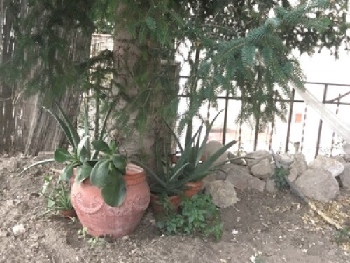 Habitación en el Albaycin!! - Gallery - 23