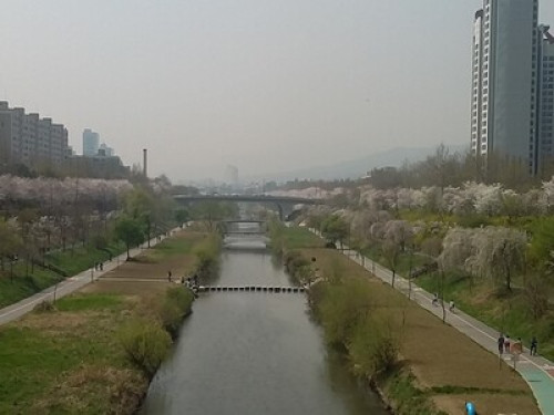 Bonjour Bienvenue chez nous à Seoul