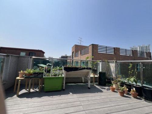 Lian Homestay - Gallery - 8