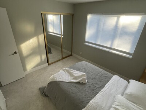 Professional Share in Quiet Place