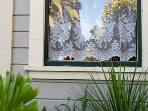 Garden Apartment - Gallery - 11