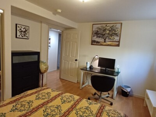 San Francisco Rooms 旧金山两间单房出租 - Gallery - 9