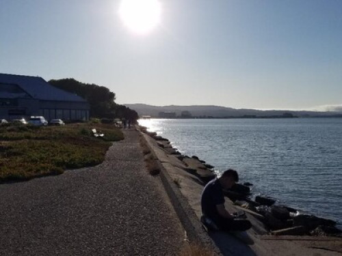 San Francisco Rooms 旧金山两间单房出租 - Gallery - 36