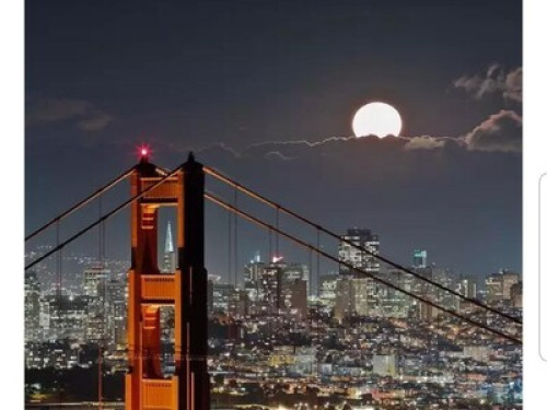 San Francisco Rooms 旧金山两间单房出租 - Gallery - 37