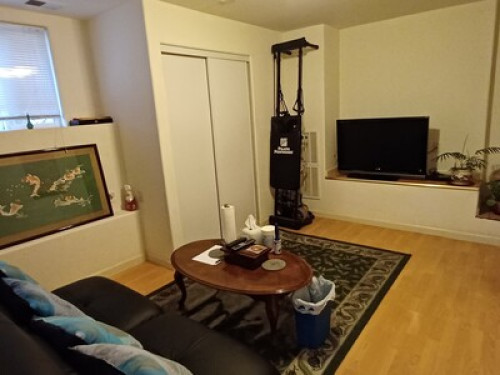 San Francisco Rooms 旧金山两间单房出租 - Gallery - 11