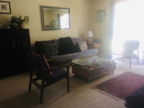 Beautiful room in 2 bedroom SF home