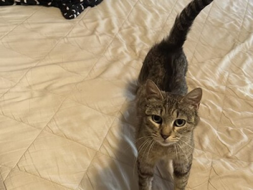 Lovely Garden View Room 