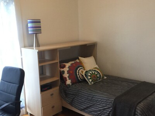 Excellent Location Near GG Park  - Gallery -  5
