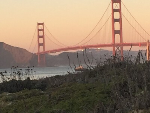 COASTAL LIVING IN THE PRESIDIO - Gallery - 13