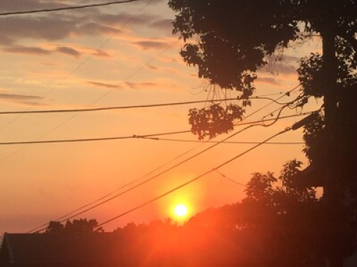 COASTAL LIVING IN THE PRESIDIO