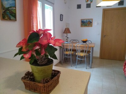Family authentic Cordoba - Gallery - 17