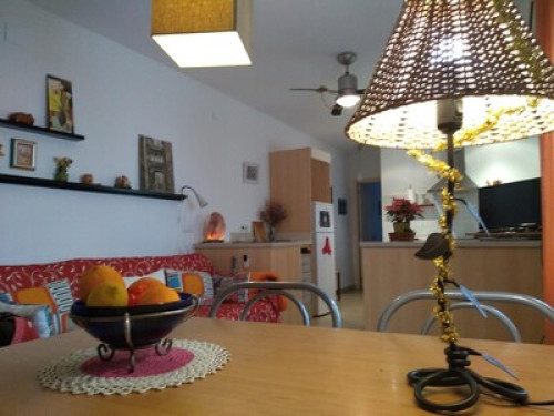 Family authentic Cordoba - Gallery - 16
