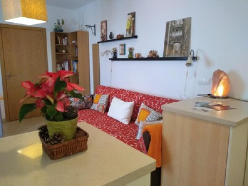 Family authentic Cordoba - Gallery - 18