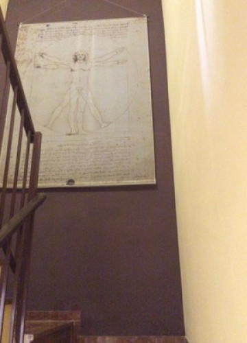 Familia acogedora centro Córdoba 